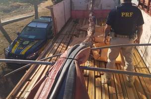 Carga de madeira ilegal é apreendida pela PRF na BR 316; motorista é preso por crime ambiental (Foto: -)
