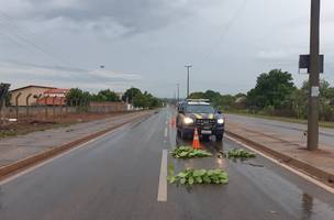 Motociclista morre depois de perder o controle do veículo em Piracuruca (Foto: -)