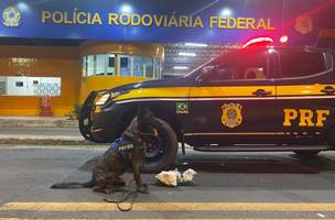 Com ajuda de cães farejadores, PRF apreende drogas avaliadas em mais de R$ 50 mil (Foto: -)