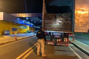 PRF apreende carga de madeira ilegal em Floriano; motorista de 36 anos é preso (Foto: -)