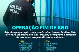 Operação Fim do Ano na Penitenciária Ribamar Leite não encontra material ilícito (Foto: -)