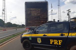 PRF apreende carregamento de madeira ilegal e autua condutor de 39 anos (Foto: -)