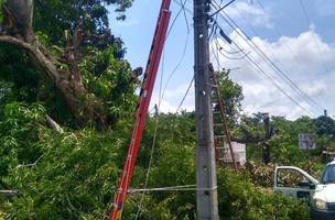 Fornecimento de energia elétrica já foi 100% restabelecido nos bairros, diz Equatorial Piauí (Foto: -)