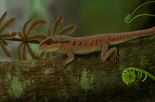 Pesquisadores da UFPI descobrem nova espécie de réptil da era Paleozóica em Nazária (Foto: -)
