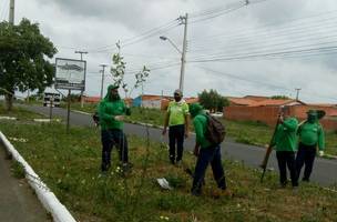 Avenidas da zona Norte recebem plantios de 150 mudas nativas e frutíferas (Foto: -)