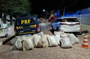 Homem de 40 anos é preso pela PRF com droga avaliada em R$ 300 mil (Foto: -)