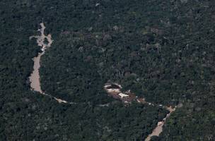 Ex-ministros do Meio Ambiente pedem ajuda de países europeus à Amazônia (Foto: -)