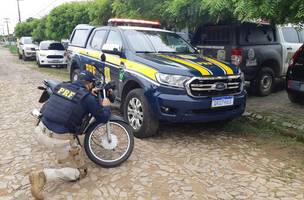 PRF recupera motocicleta e prende homem de 44 anos por receptação no Piauí (Foto: -)