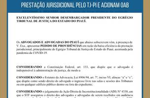 AJUSPI e advogados protocolam Pedido de Providência para melhor prestação jurisdicional pelo TJ-PI e acionam OAB (Foto: -)
