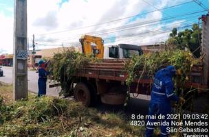 Confira a programação do mutirão de limpeza para este domingo em Teresina (Foto: -)