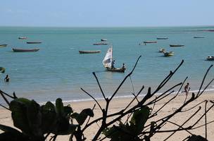 Em novo decreto, prefeito de Cajueiro da Praia autoriza reabertura do comércio (Foto: -)