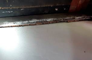 Guarda Civil resgata jiboia de quase 2 metros em telhado de comércio na zona Sudeste (Foto: -)