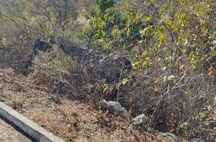 Casal morre depois de colisão entre caminhonete e motocicleta no interior do Piauí (Foto: -)