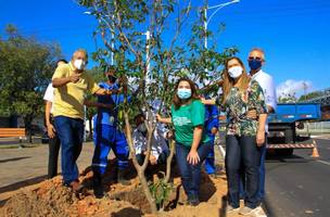 Secretaria Municipal do Meio Ambiente realiza plantio na avenida Frei Serafim (Foto: -)
