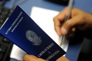 Desocupação cresce e atinge novo recorde histórico no Piauí, aponta IBGE (Foto: -)