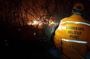 Bombeiros combatem incêndio há mais de dez dias na divisa do Piauí e Ceará (Foto: -)