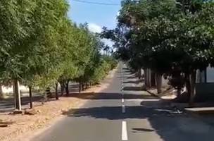 Promotor de justiça sugere suspensão de obras por crime ambiental em Amarante (Foto: -)
