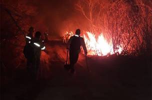 Depois de dois dias, incêndio na região de São Raimundo Nonato é controlado (Foto: -)