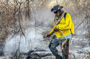 Incêndio que atingiu Serra dos Gringos é controlado por bombeiros (Foto: -)