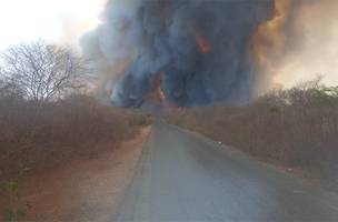 Incêndio de grandes proporções atinge mata em Curimatá e bombeiros são acionados (Foto: -)