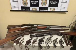 Polícia Civil apreende mais de dez armas de fogo em residência no interior do Piauí (Foto: -)