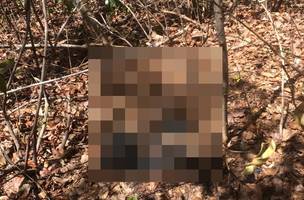 Ossada humana é encontrada dentro de saco plástico em matagal no litoral do Piauí (Foto: -)