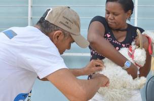 Fundação Municipal de Saúde inicia vacinação para cães e gatos das zonas Norte e Leste (Foto: -)