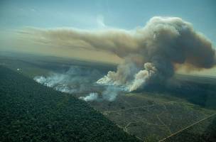 Alertas de desmatamento na Amazônia batem recorde em outubro, aponta Inpe (Foto: -)