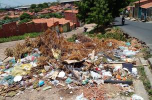Multa para quem jogar lixo em local proibido pode chegar a mais de R$ 4 mil, diz PMT (Foto: -)