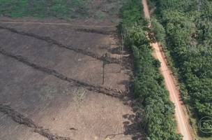 Desmatamento na Amazônia cresce quase 57% no governo Bolsonaro, diz Ipam (Foto: -)