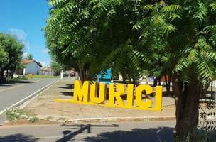 TRE-PI prepara urnas para eleição suplementar em Murici dos Portelas (Foto: -)