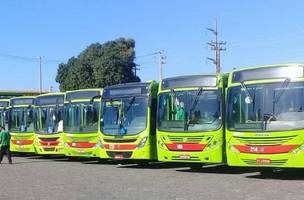 Procuradoria aciona Justiça contra greve dos motoristas e cobradores de ônibus de Teresina (Foto: -)