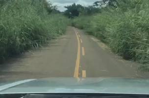 Sem roço, estrada no Piauí tem mais mato que asfalto (Foto: -)