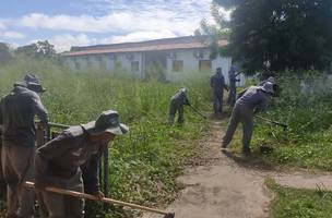 Operação contra a dengue irá percorrer 9 mil imóveis em seis bairros de Teresina (Foto: -)