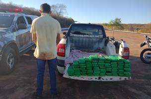 Polícia Militar prende entregador com 76 kg de maconha em Simplício Mendes (Foto: -)