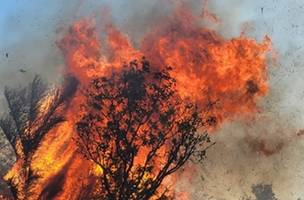 Depois de dois dias, incêndio na Serra de Santo Antônio é controlado (Foto: -)