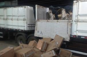 Motorista é preso por contrabando de cigarros em Eliseu Martins (Foto: -)