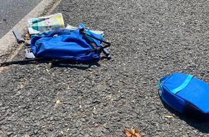 Criança de 7 anos morre ao ser atropelada por caminhão na BR-316 (Foto: -)
